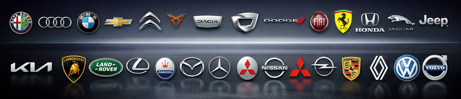 Digicarx trabajamos todas las marcas de coches